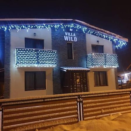 Villa Wild Petroşani Eksteriør bilde