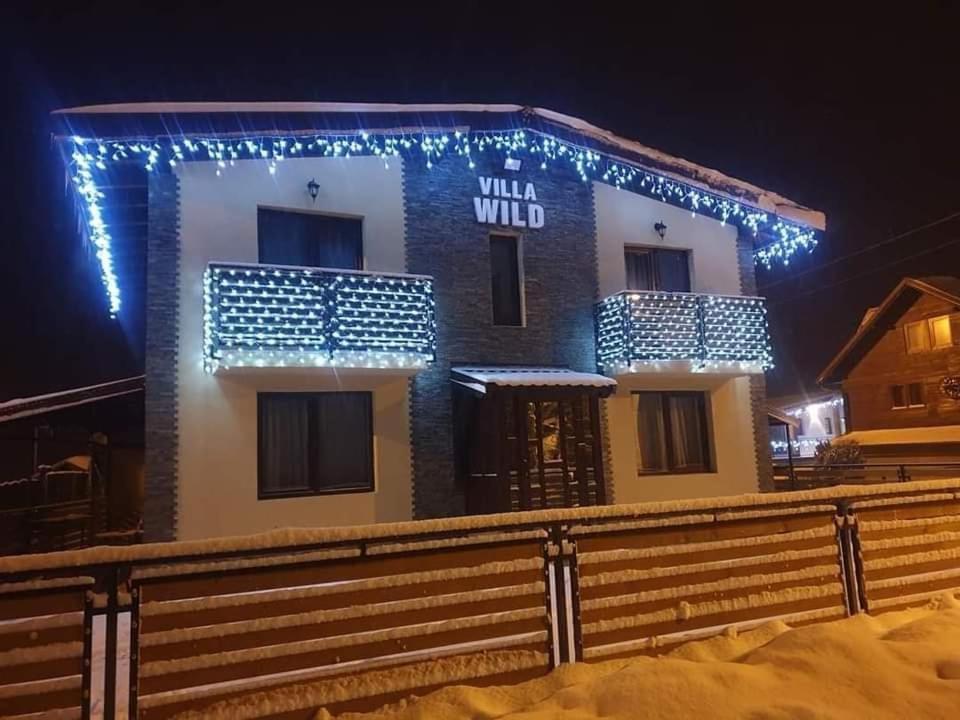 Villa Wild Petroşani Eksteriør bilde